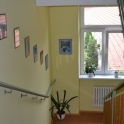 Domov Duha Máchova