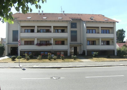 Pečovatelská služba